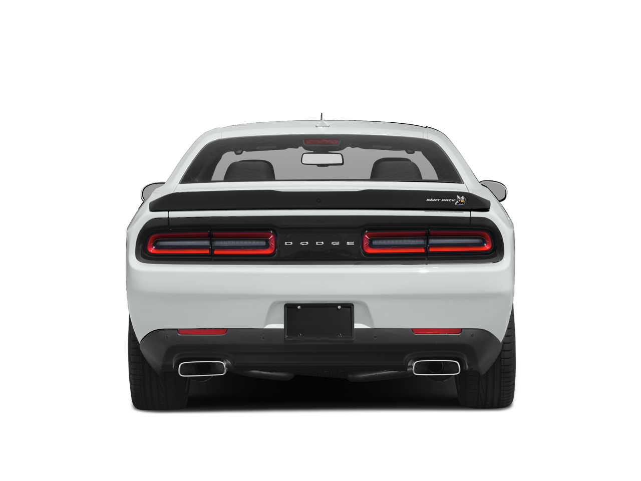2021 Daimler Dodge Challenger Rtscatpk