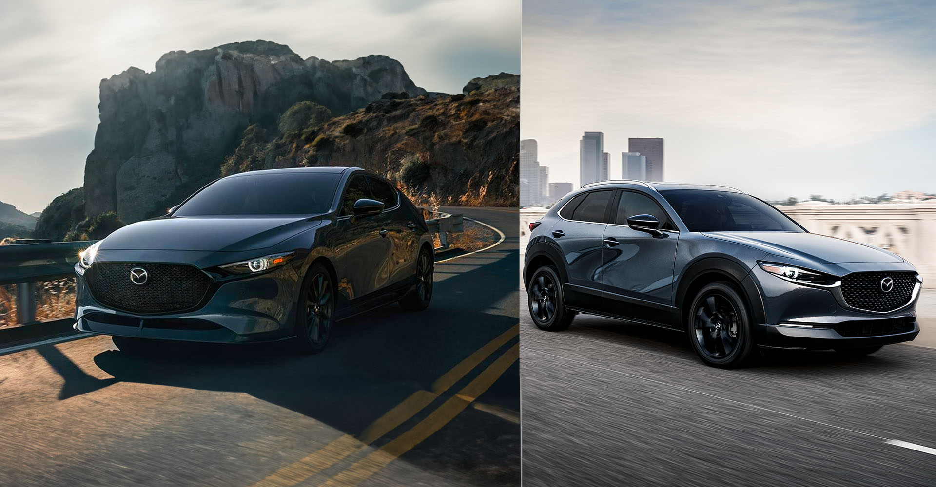 Car Search by Features