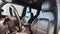 2021 Ford Bronco First Edition Advanced