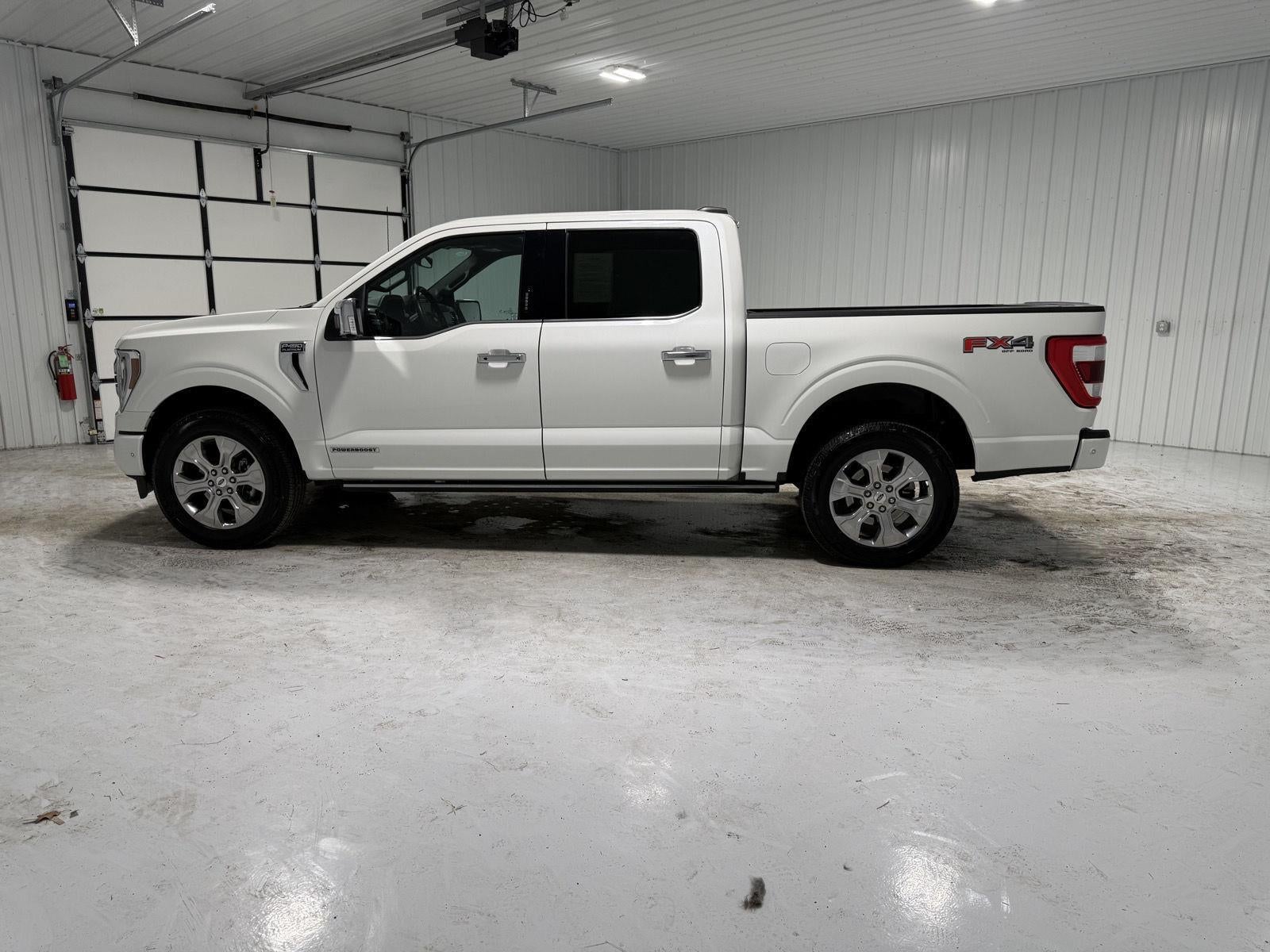 2023 Ford F-150 Platinum