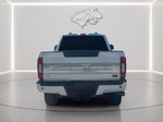 2021 Ford Super Duty F-250 Platinum