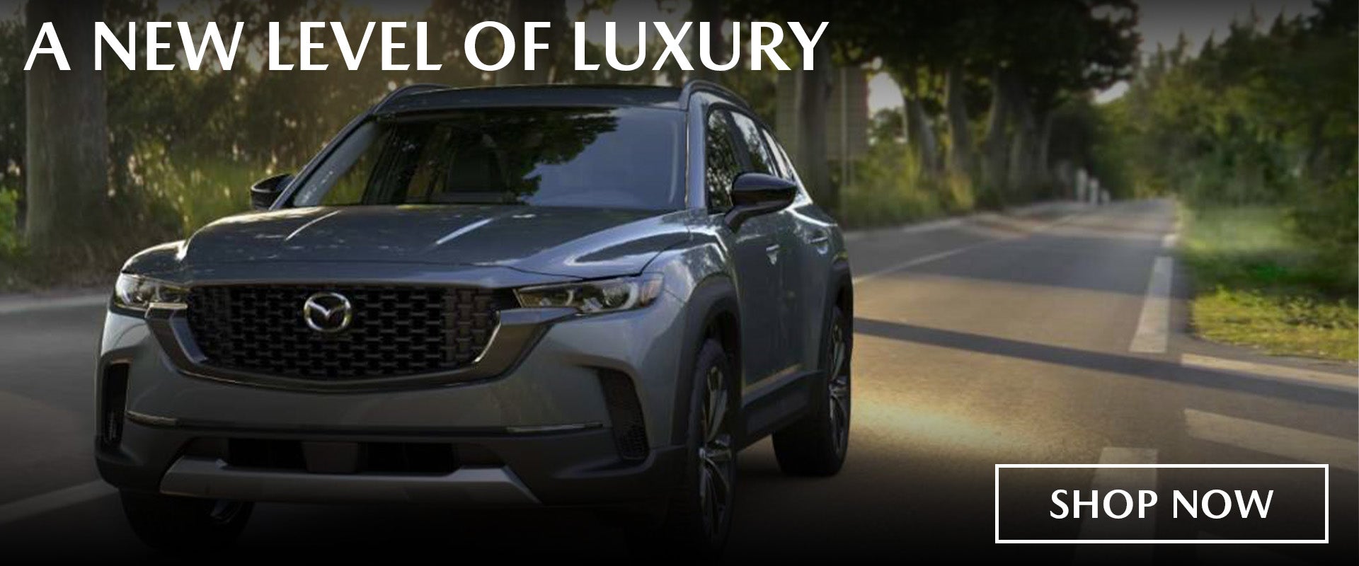 2025 Mazda CX-50 Easton MD