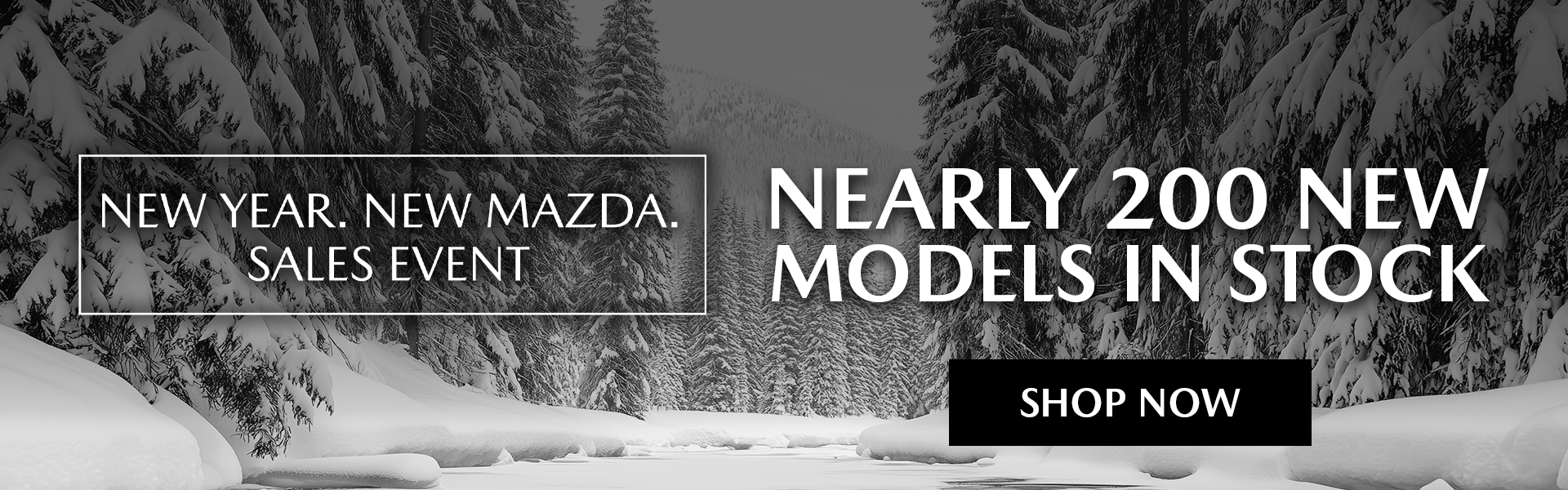 Nearly 200 New Models in Stock!