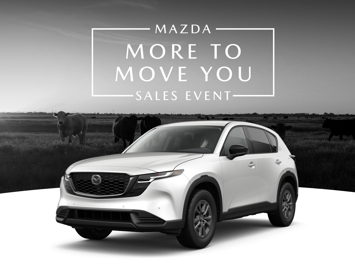 0% APR Financing for 36 Months